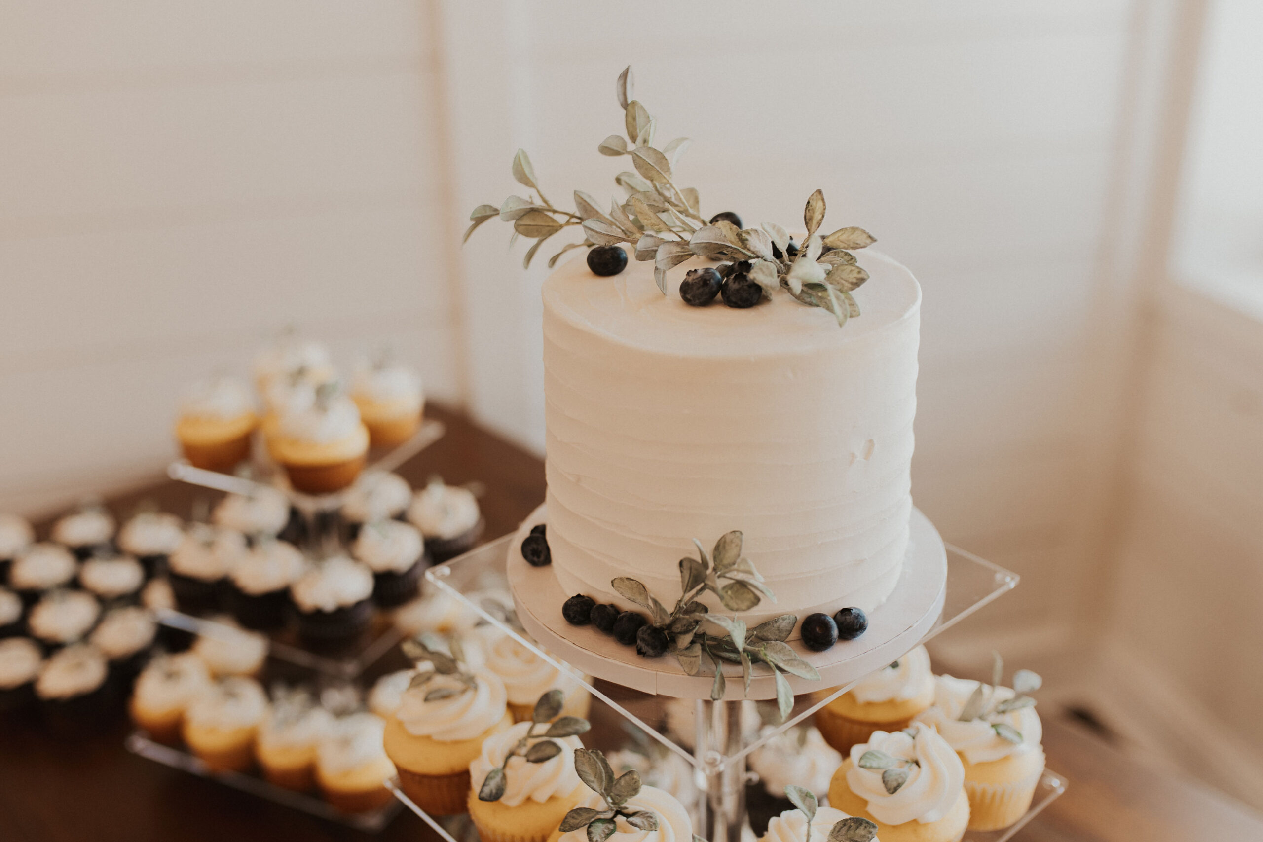 Cutting Cake and Cupcakes A cutting cake from The Cake Place displayed alongside an assortment of chocolate and vanilla cupcakes. The desserts are elegantly garnished with fresh blueberries and a sprig of greenery for a natural, sophisticated touch.
