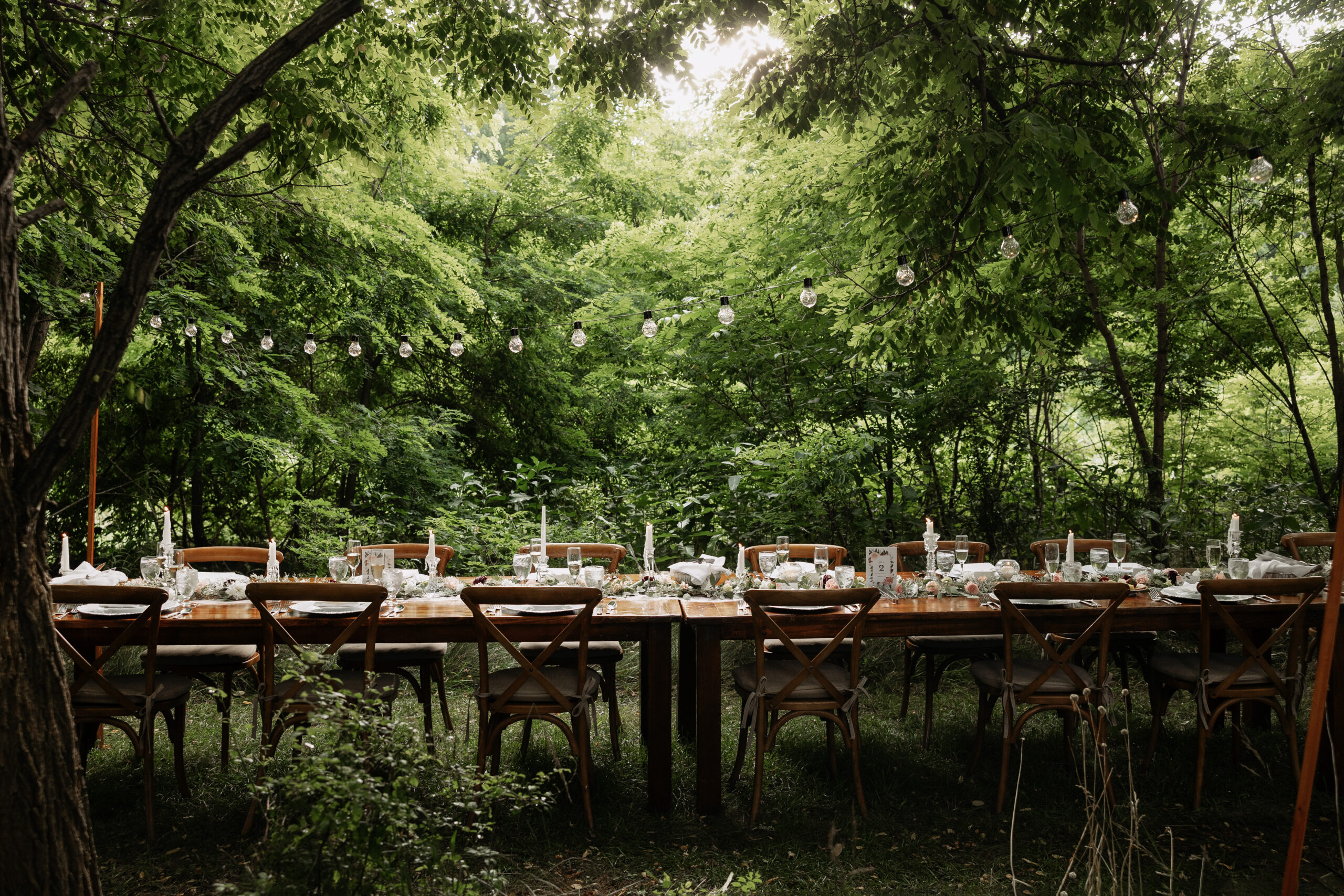 Romantic Woodland Wedding Dinner with String Lights