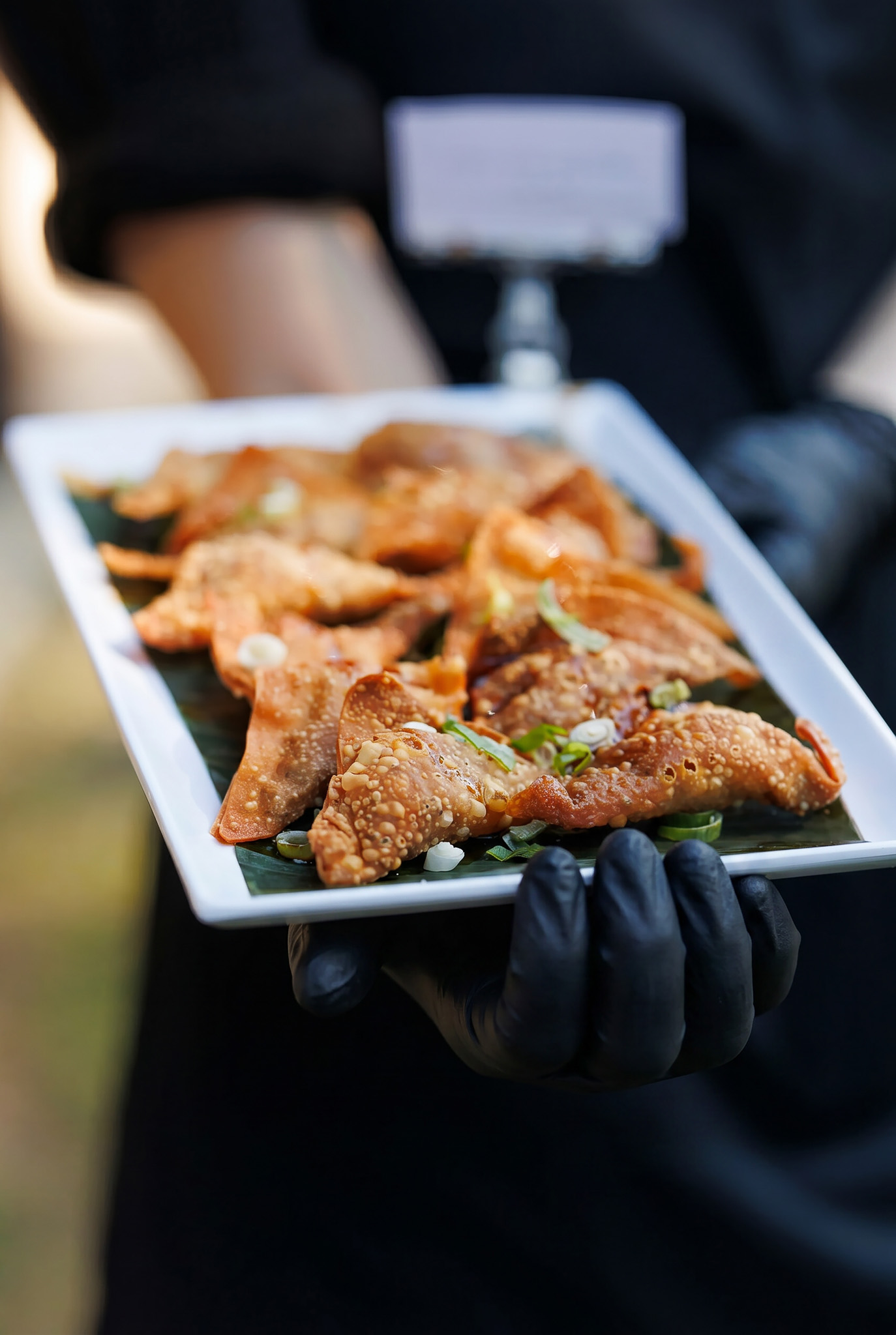 Crispy Wonton Appetizers | Wedding Cocktail Hour Crispy wonton appetizers garnished with green onions and presented on a white platter for handpassed wedding cocktail hour service by Partyman Catering.