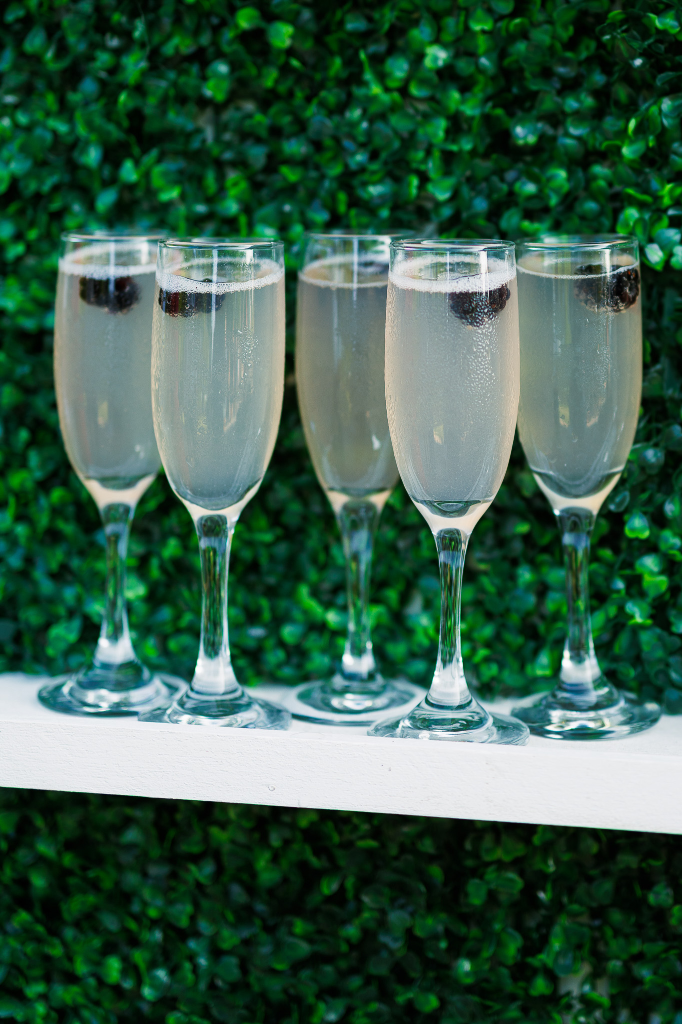 Champagne Welcome Drinks at The Wells Estate Champagne flutes garnished with fresh blackberries displayed against a greenery wall for a celebration at The Wells Estate.